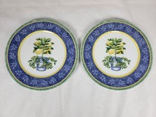 2 Villeroy & Boch Plates